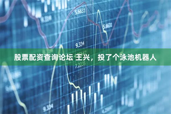 股票配资查询论坛 王兴，投了个泳池机器人